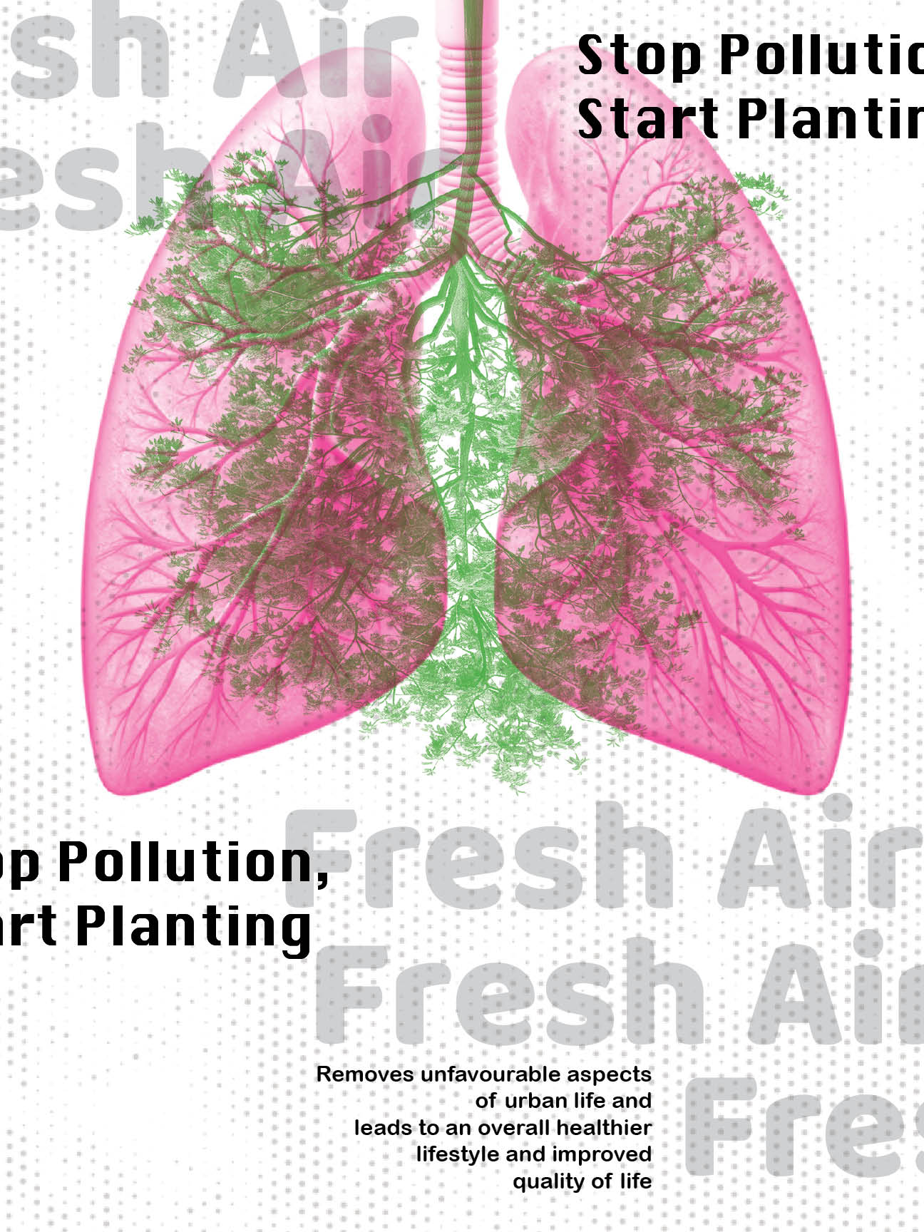 Graphic Design Work 2